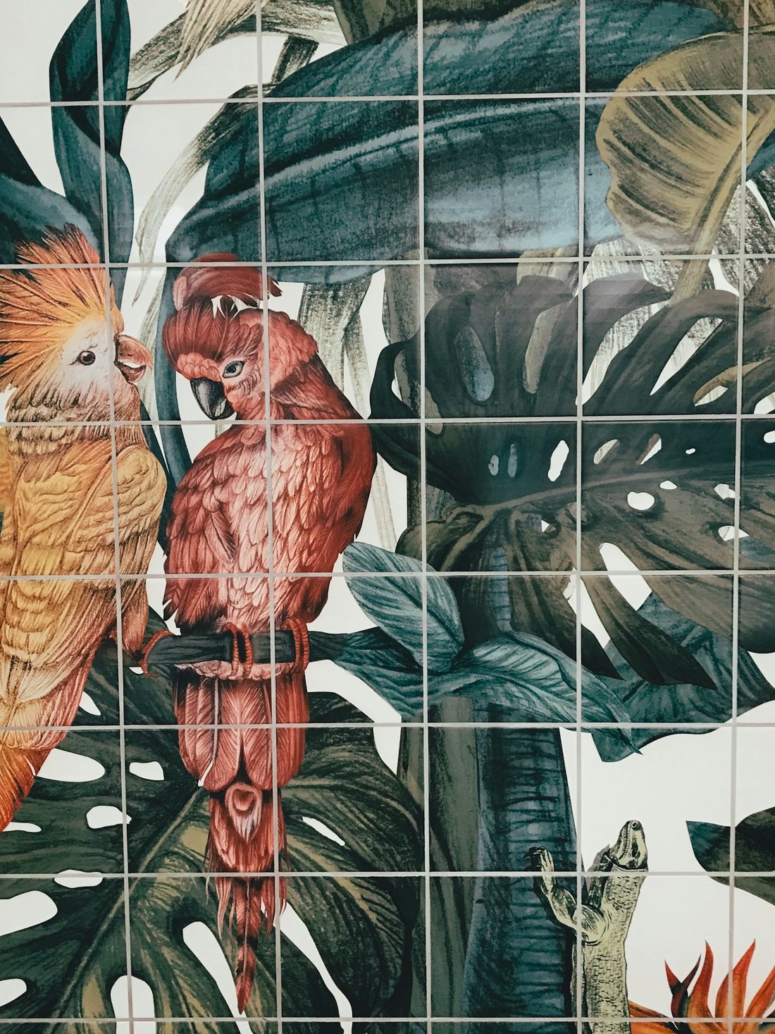 Suite Jungle, végétation luxuriante et douche tropicale